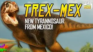 Mexico’s Secret T.rex Cousin Shocks Scientists - There's Two Of Them?