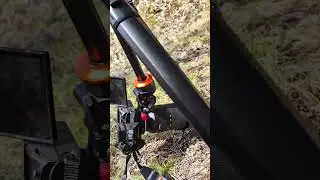 Первоцветы на Урале