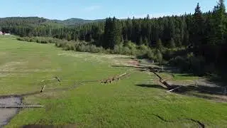 24-05-16 #4 No Fence Wetlands Drone Flight First Spring Construction & Planting Completed Fall 2023.
