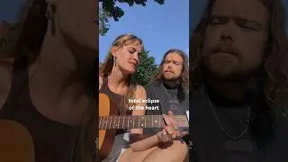 Total Eclipse of the Heart by a Bonnie Tyler (Acoustic cover)