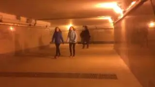 В переходе на площади Лядова