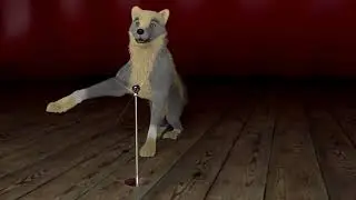 Jaxer Wolf Sings Shooting Star