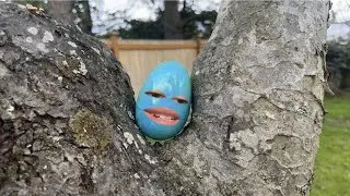 Life of An Easter egg