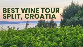 Best Wine Tour in Split, Croatia.