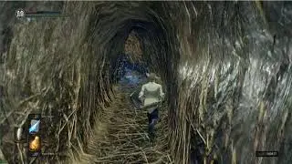 Dark Souls Remastered Great Hollow