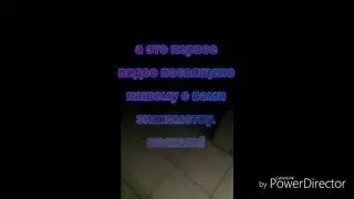Знакомство со спаниелью)