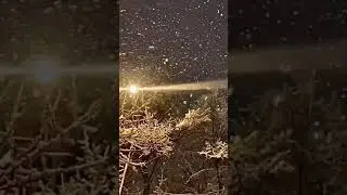 А ведь скоро зима ❄️😻