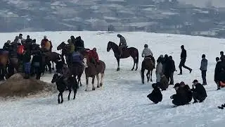 21 01 2023с Буз дар Султонобод Абдулмажид..бо Прадо
