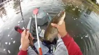 KanLures AquaQuake - Spinn action !