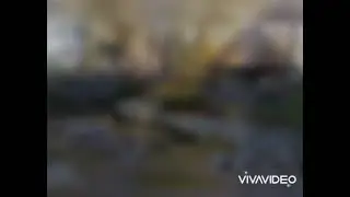 Водопады, ручьи декоративные водоёмы))