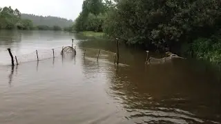 INSTALLED JACKIE IN THE RIVER!