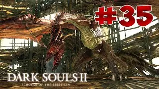 Dark Souls 2 SotFS - Полный Гайд. Прохождение, Секреты и ЛОР. Часть 35. Дракон Страж.