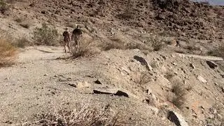 The Bump and Grind Trail Palm Desert