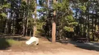 Video of Bighorn National Forest Sitting Bull Campground, WY from N I.