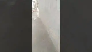 aa