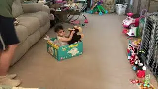 Stop Motion Video - Family Fun