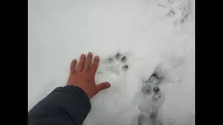 река Липка.