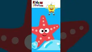 Phonics Song Jellyfish and More | Part 2 | #Kidzstation #shorts