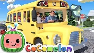 Beginner STEM for Kids | Fun Science Education, Critical Thinking, Engineering Basics & Learning 