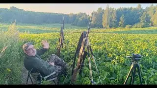 Охота на косулю с манком.