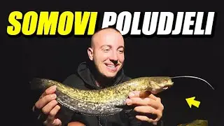 Pecanje na dzigericu - Sistem dubinac - rijeka Bosna