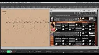 Steel Guitar Strumming VST, Kontakt Sample Library, Best Service, Chris Hein Guitars