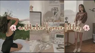 AESTHETIC CAPCUT PRESET | BROWN AESTHETIC FILTER