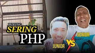 Cucak Hijau Burung PHP ????  Senior Terbantahkan Junior Tentang Rubicon