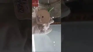 Статуэтка 