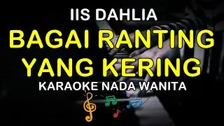 BAGAI RANTING YANG KERING - KARAOKE NADA WANITA ( IIS DAHLIA )
