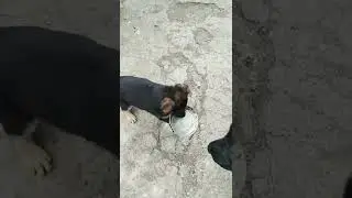 Дрессировка началась🤭🤭🤭!!!