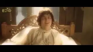 frodo & gandalf