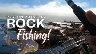 Rock Fishing on the West Coast - Pigeon Point, California Adventure #rockfishing #fishing #survival