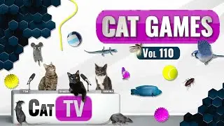 CAT Games | Ultimate Cat TV Compilation Vol 110 | 6 HOURS  🐝🐞🦋🦎🦜🐜🐭🧵