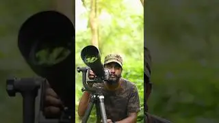 Wildlife Photography Shorts | Paradise flycatcher | Monarch | Parakeet |  #photography #vairalshort