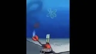 XD