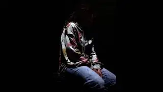 Rhizome - Fragile