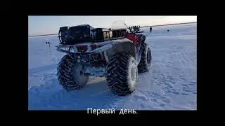 Два  дня  по  окуню,  поиск,  тест  АЗИМУТА
