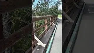 William Bill Hughes Park