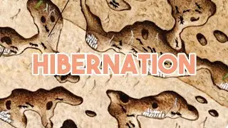 What Is Hibernation And Why Do Ants Hibernate (ft. Ants Anatomy) | How To Hibernate Your Ant Colony