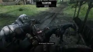 How not to park a horse