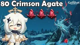 Genshin Impact semua Lokasi 80 Crimson Agate di Dragonspine | All Crimson Agate Locations