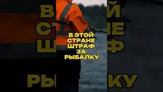 В этой стране штраф за рыбалку