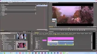 48HFP 08 Pr Using SpeedGrade Direct Link