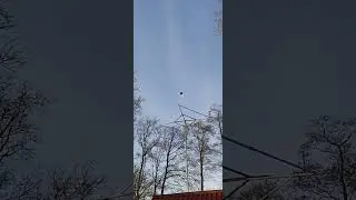 Игра сереневого.