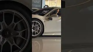 White beauty #car #carlover #white #whitecars #shortvideo #shorts #short