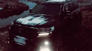 Бодя Мир642 х Dewensoon - Таро