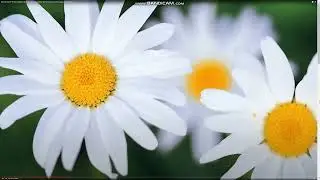Немного новостей за выходные !