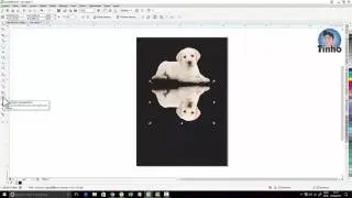 Reflexo em imagens corel draw tutorial
