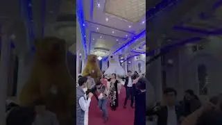 Ayiqlar doyraga uynashi  Samarkand bears